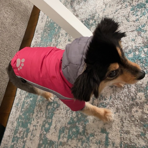 Dog jacket - Picture 4 of 4